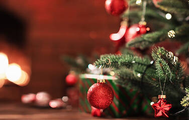 Christmas 2021 – Opening and delivery dates