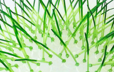 Getting creative with cable ties – how artists have transformed cable ties into art